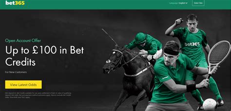 bet365 sport betting